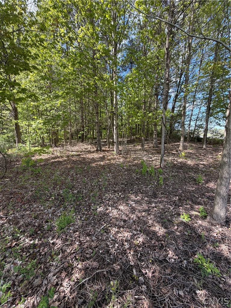 Emery Road Fulton, NY 13069 - Photo 8 of 9
