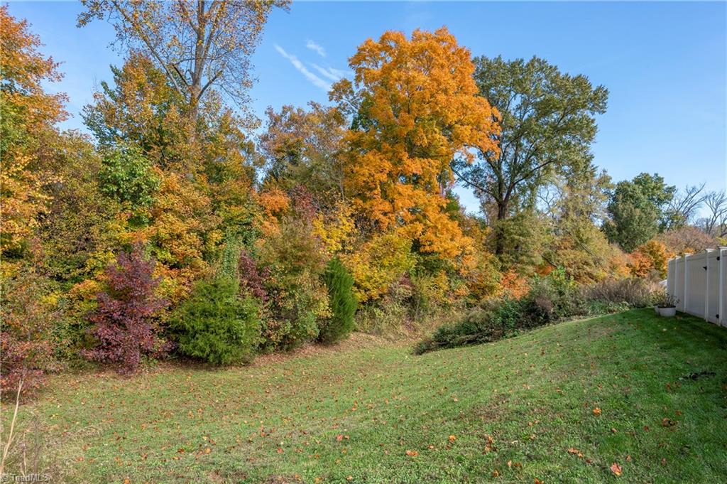 4464 Silo Ridge Clemmons, NC 27012 - Photo 33 of 36 Backyard