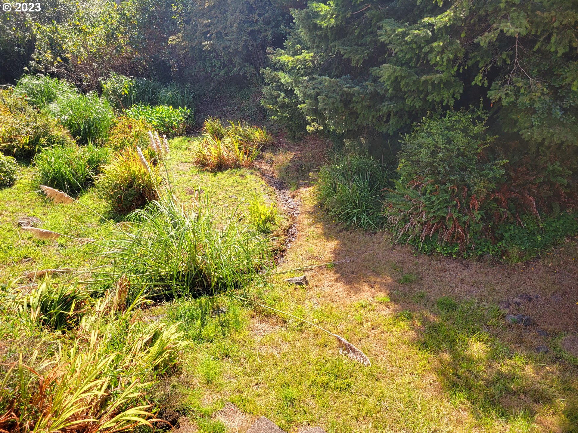 19921 Whaleshead Road, Unit OV8 Brookings, OR 97415 - Photo 30 of 48 a view of a yard