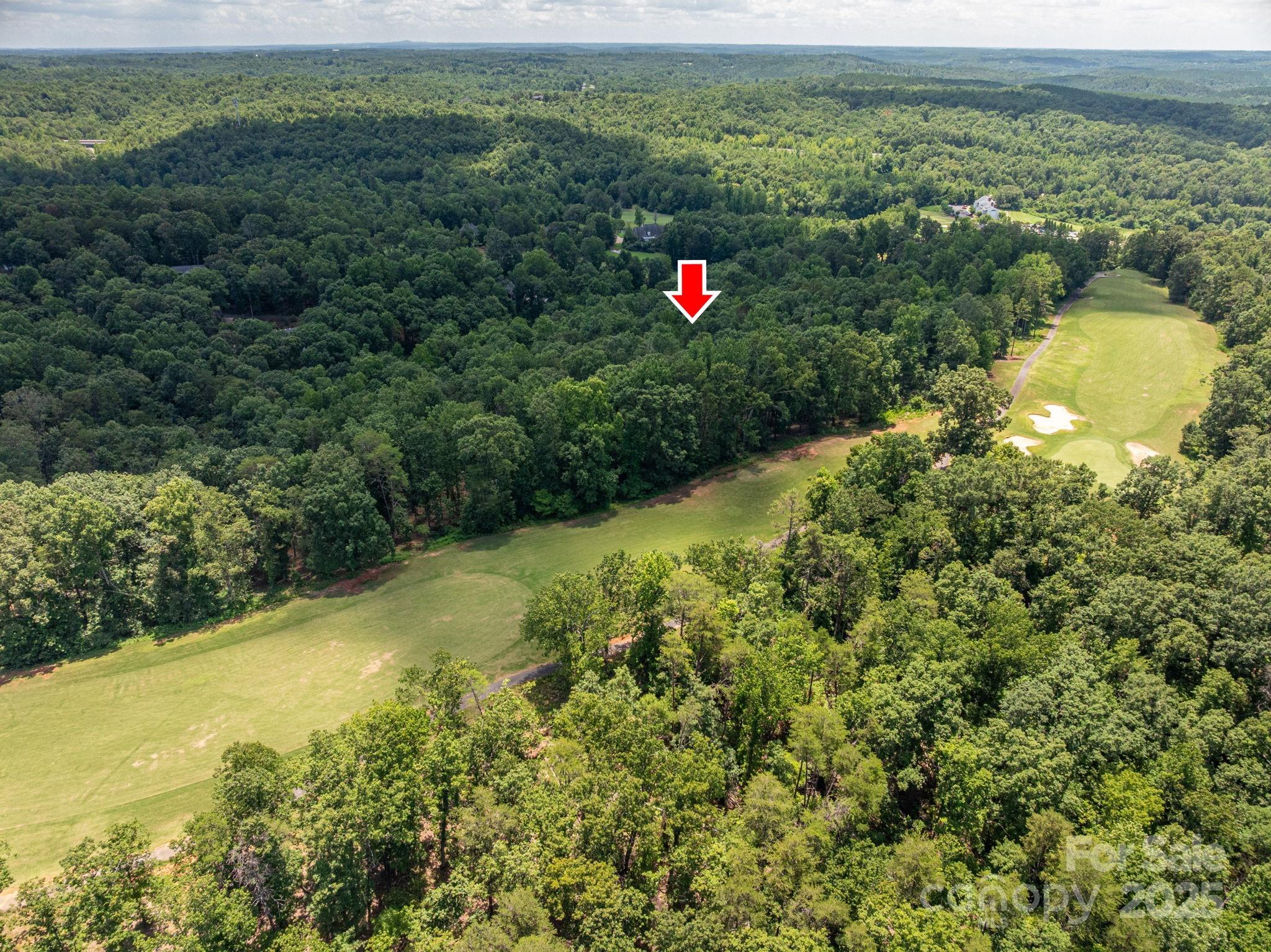 a view of a lake with a mountain and a yard