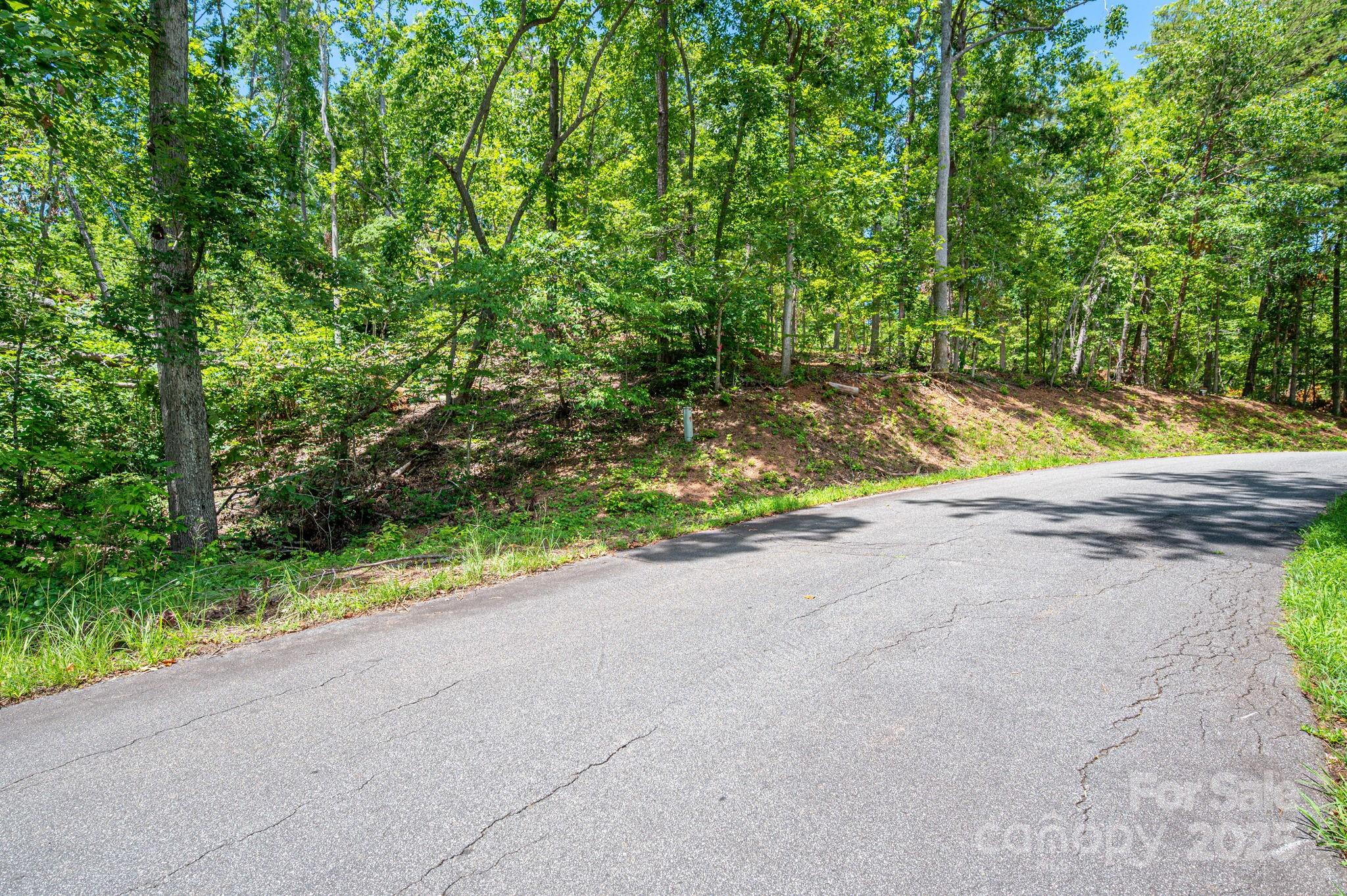 Lot 191 Plantation Drive Rutherfordton, NC 28139 - Photo 11 of 15 a view of a road with a yard