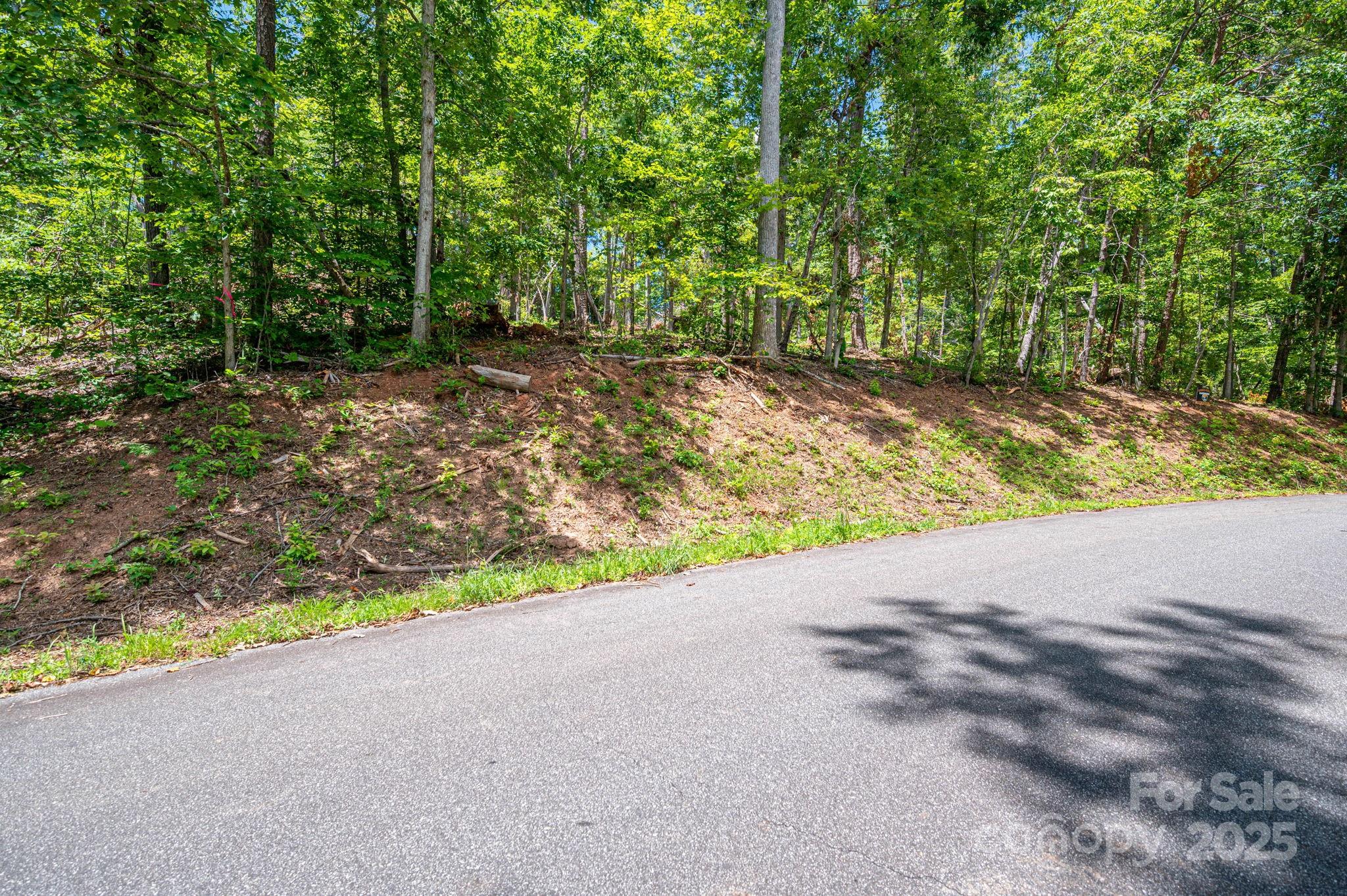 Lot 191 Plantation Drive Rutherfordton, NC 28139 - Photo 12 of 15 a view of a road with a yard