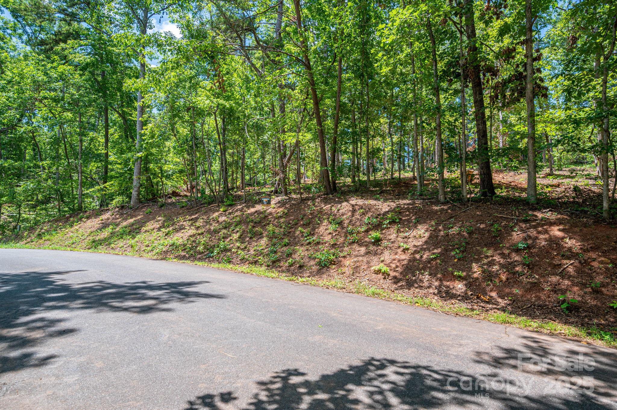 Lot 191 Plantation Drive Rutherfordton, NC 28139 - Photo 13 of 15 a view of a street with a tree