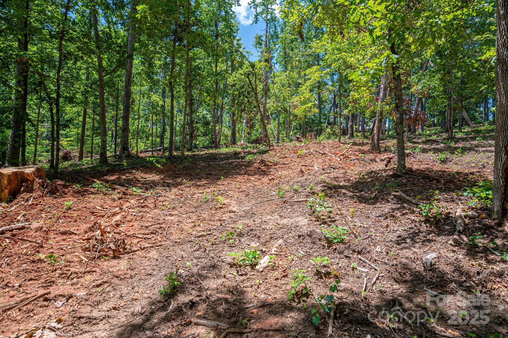 Lot 191 Plantation Drive Rutherfordton, NC 28139 - Photo 14 of 15 a view of outdoor space and trees