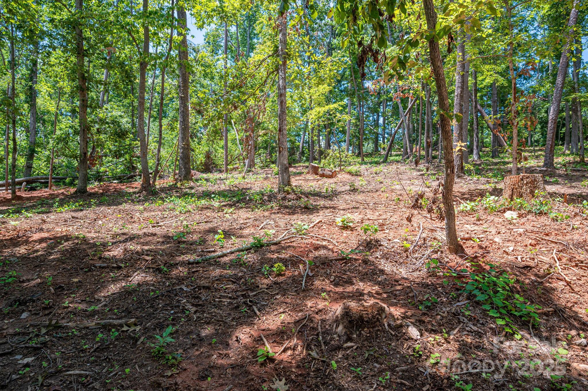 Lot 191 Plantation Drive Rutherfordton, NC 28139 - Photo 15 of 15 a view of outdoor space with trees