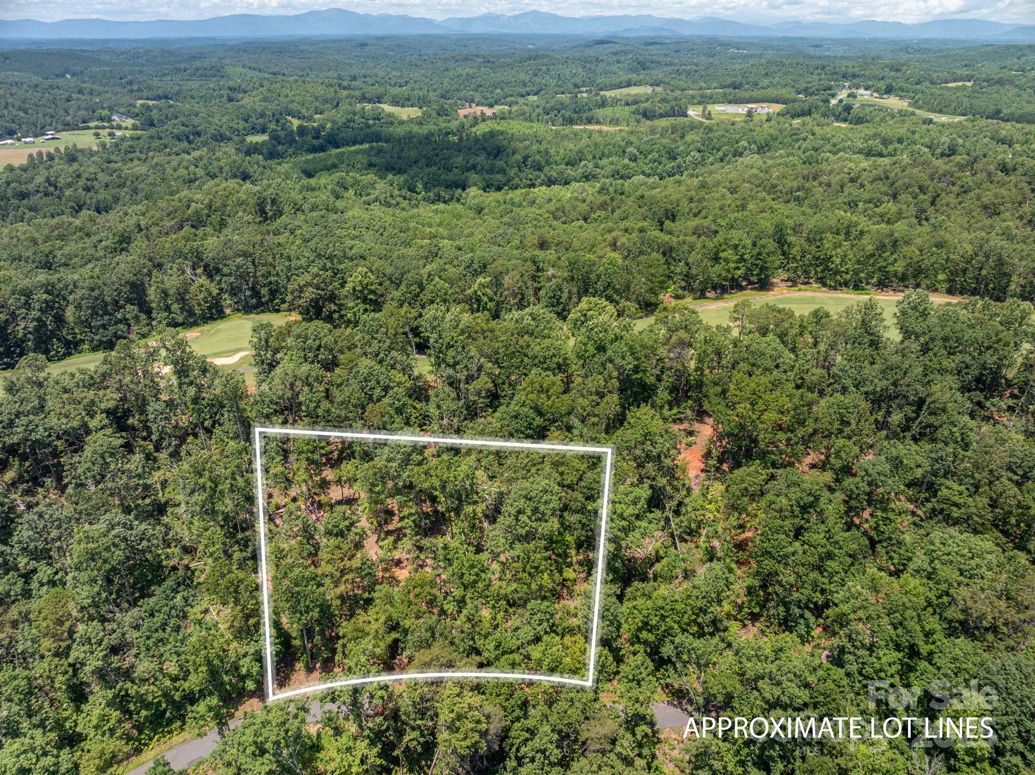 Lot 191 Plantation Drive Rutherfordton, NC 28139 - Photo 2 of 15 a view of a forest with a mountain in the background