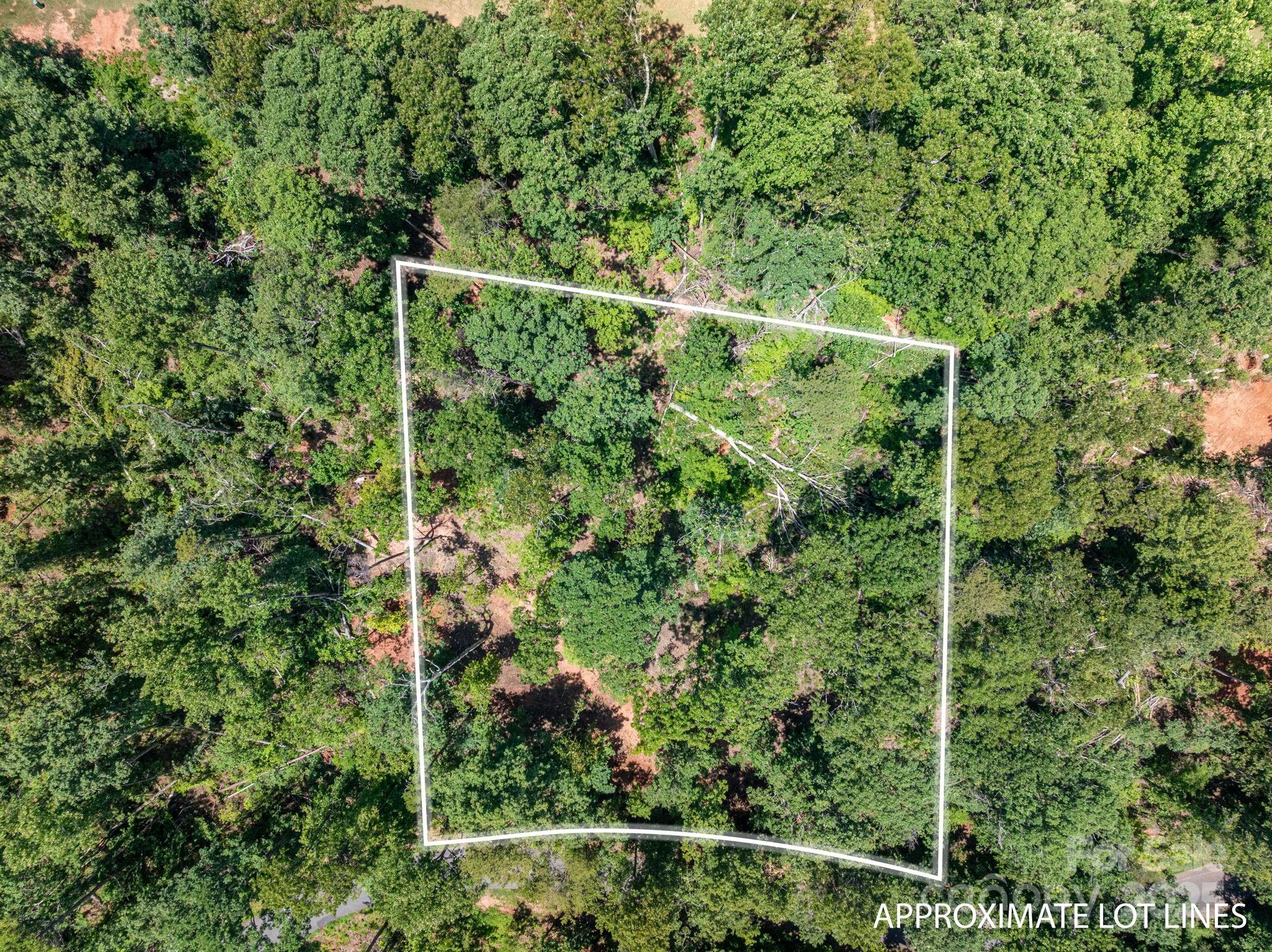 Lot 191 Plantation Drive Rutherfordton, NC 28139 - Photo 6 of 15 a view of a yard with a tree
