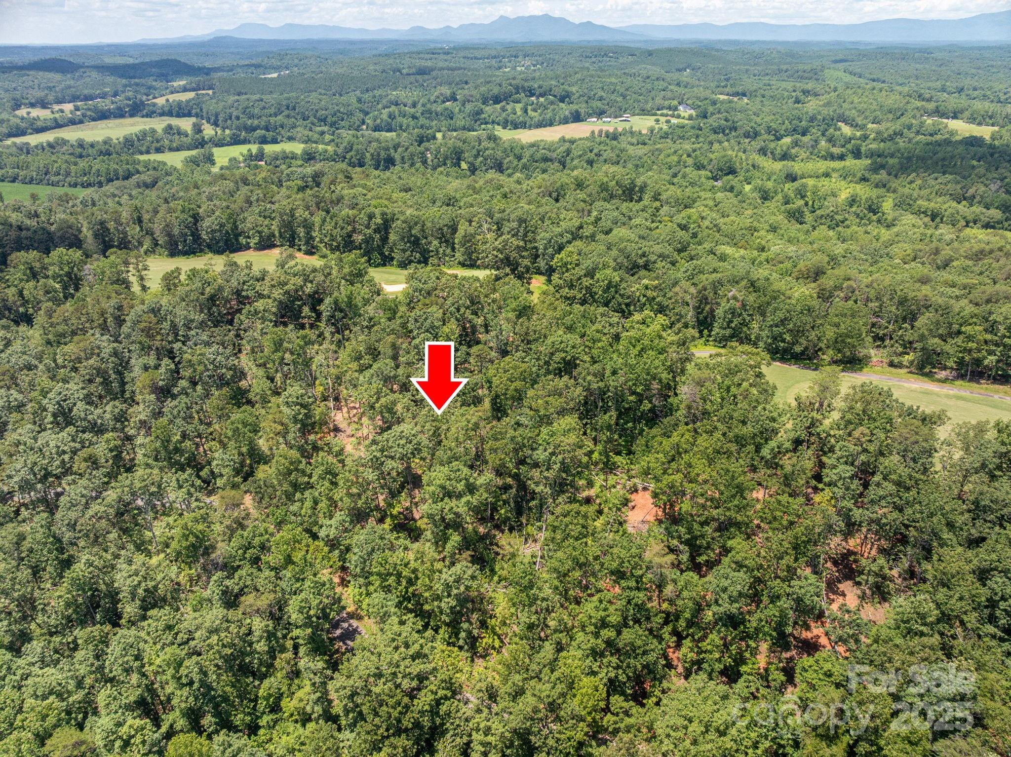 Lot 191 Plantation Drive Rutherfordton, NC 28139 - Photo 7 of 15 a view of a green field with lots of bushes