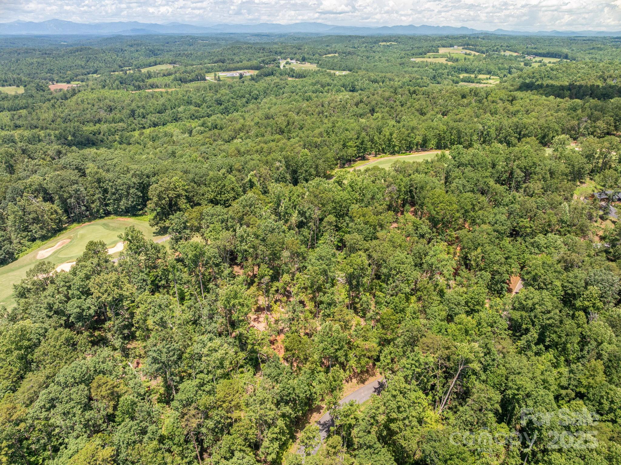 Lot 191 Plantation Drive Rutherfordton, NC 28139 - Photo 8 of 15 a view of a yard with an outdoor space