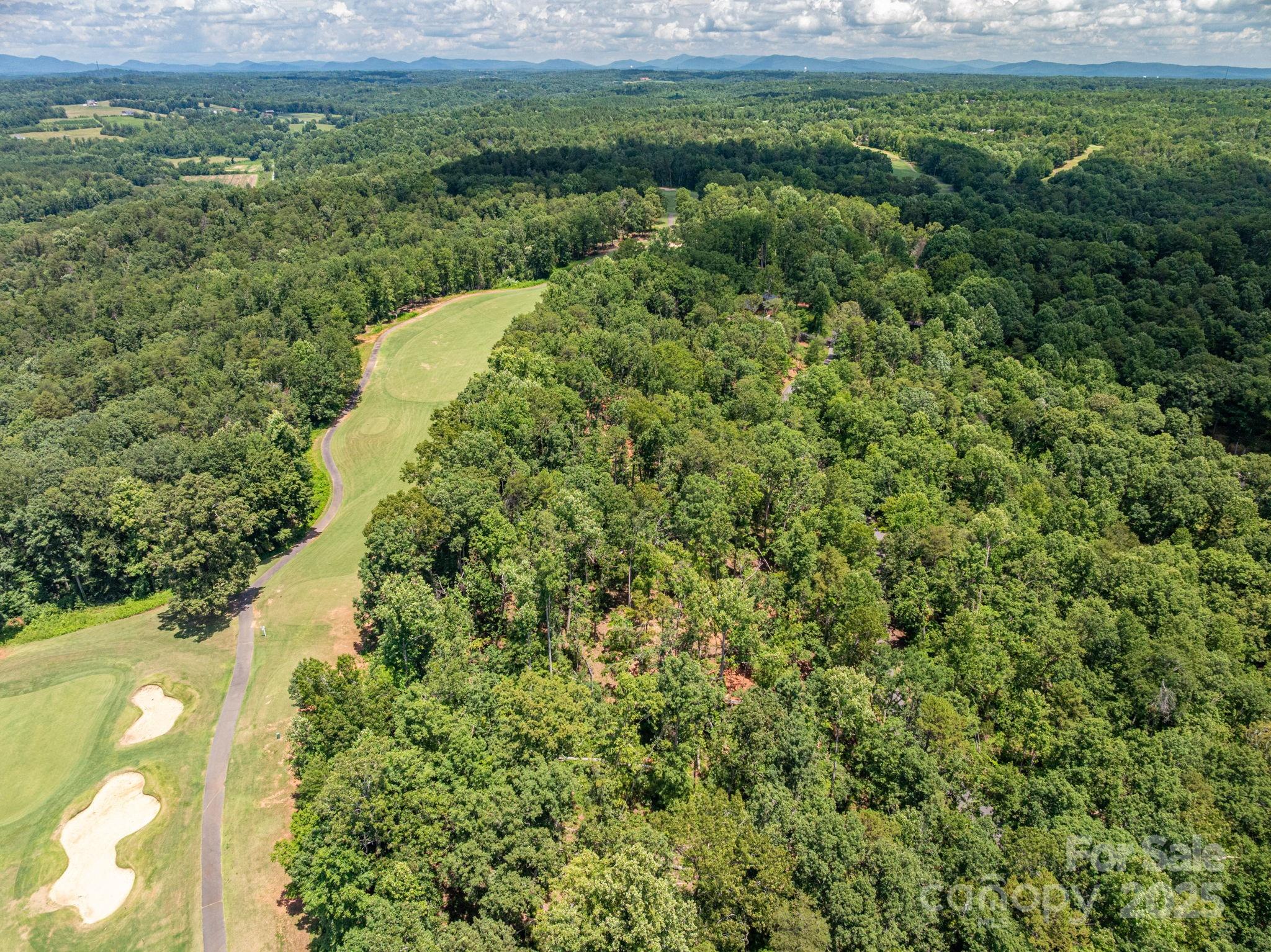 Lot 191 Plantation Drive Rutherfordton, NC 28139 - Photo 9 of 15