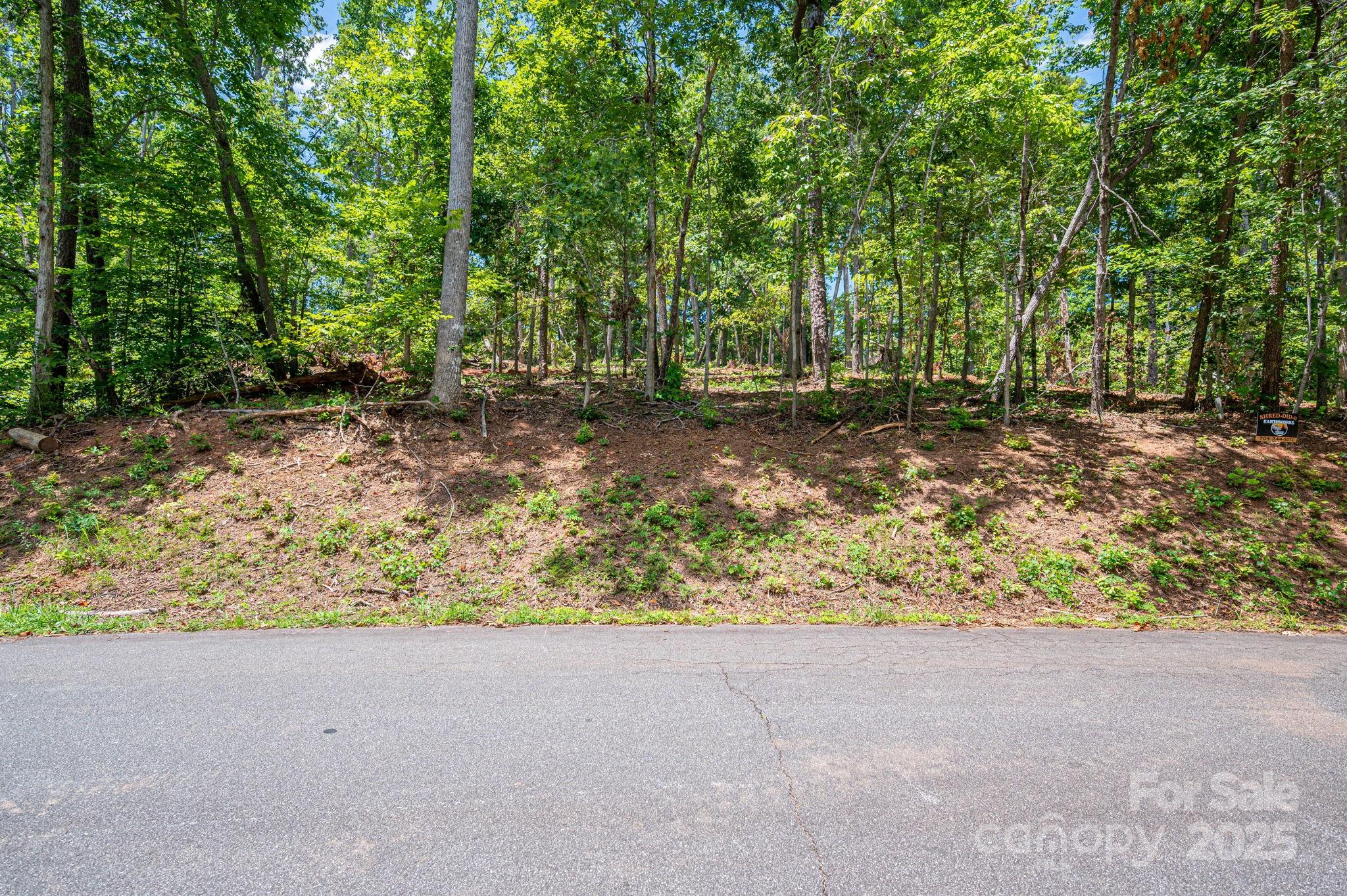 Lot 191 Plantation Drive Rutherfordton, NC 28139 - Photo 10 of 15 a view of backyard with green space