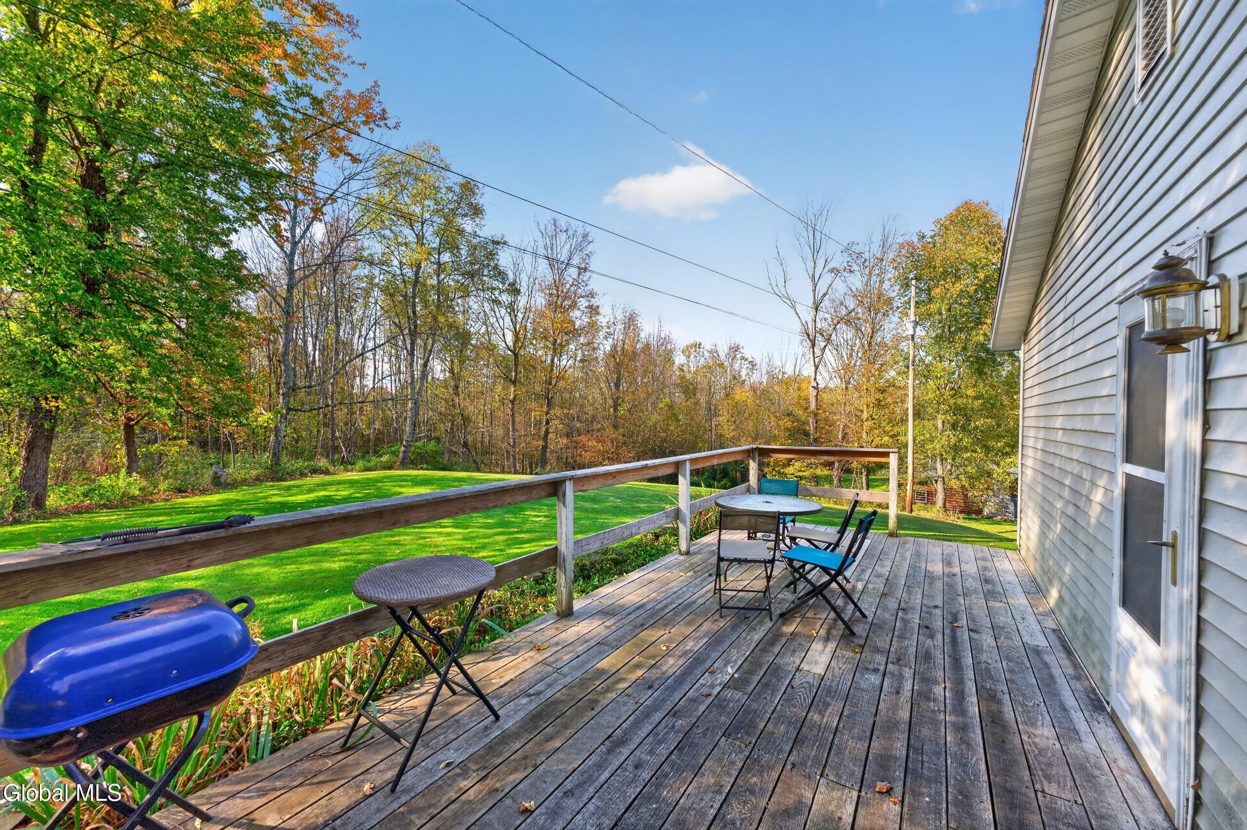 119 Brown House Road Gilboa, NY 12076 - Photo 39 of 65 0 113 Outside 5