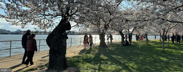 $1,700 | 1311 Delaware Avenue Southwest, Unit S336, Washington, DC 20024