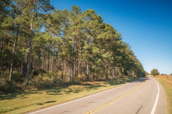 40.83-ac Bold Springs Road Ochlocknee, GA 31773 - Photo 13 of 14 Gallery Image 13