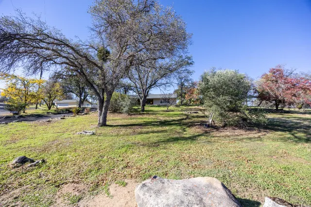 a view of yard with tree