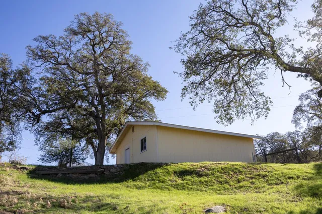 a view of a yard with large tree
