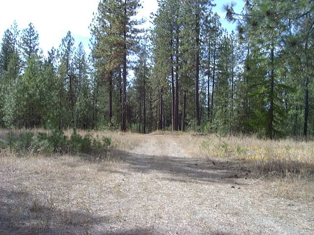 35716 North Elk Chattaroy Road Elk, WA 99009 - Photo 1 of 9 Gallery Image 1
