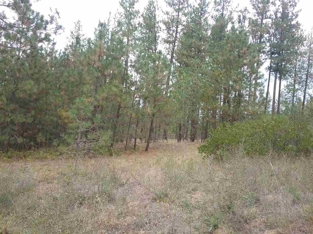 35716 North Elk Chattaroy Road Elk, WA 99009 - Photo 3 of 9 Gallery Image 3