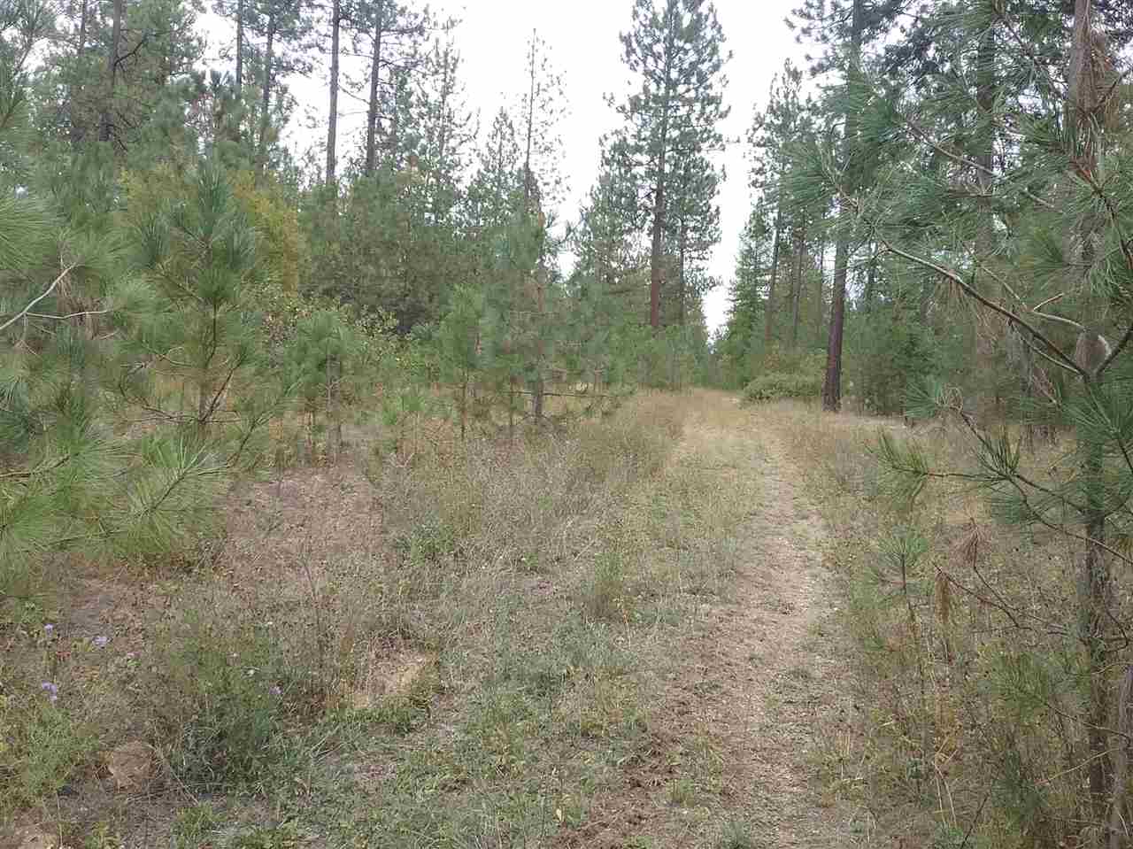 35716 North Elk Chattaroy Road Elk, WA 99009 - Photo 4 of 9 Gallery Image 4