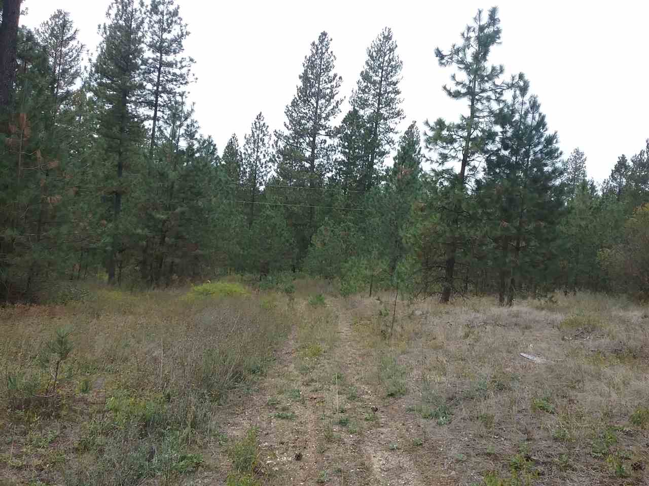35716 North Elk Chattaroy Road Elk, WA 99009 - Photo 5 of 9 Gallery Image 5