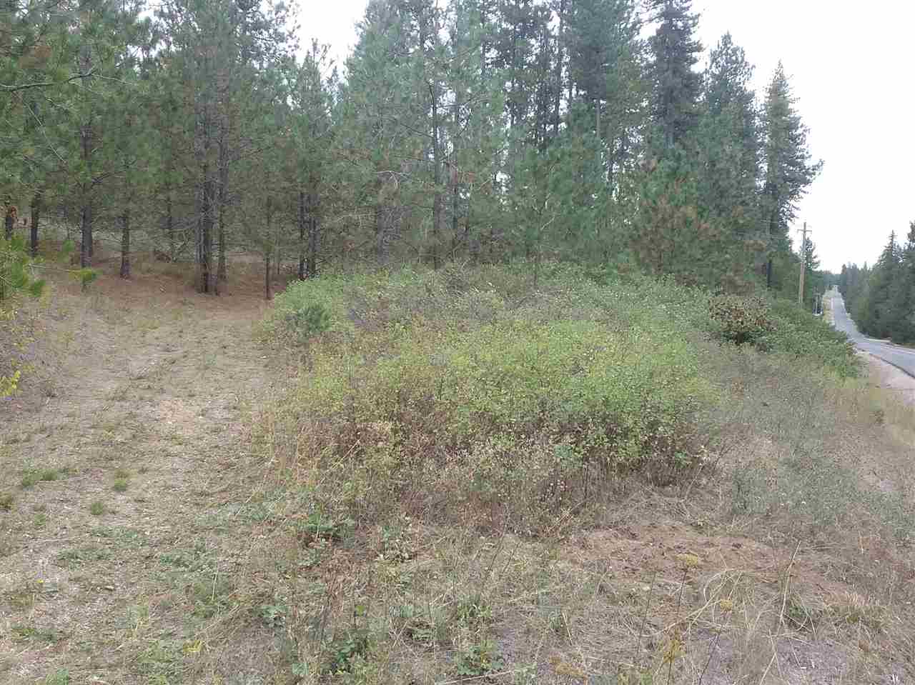 35716 North Elk Chattaroy Road Elk, WA 99009 - Photo 9 of 9 Gallery Image 9