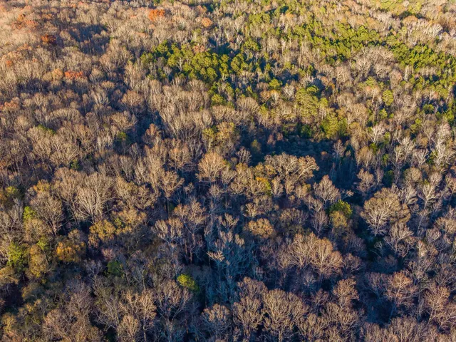 $975,000 | 0 Marshall Tucker Road, Pauline, SC 29374