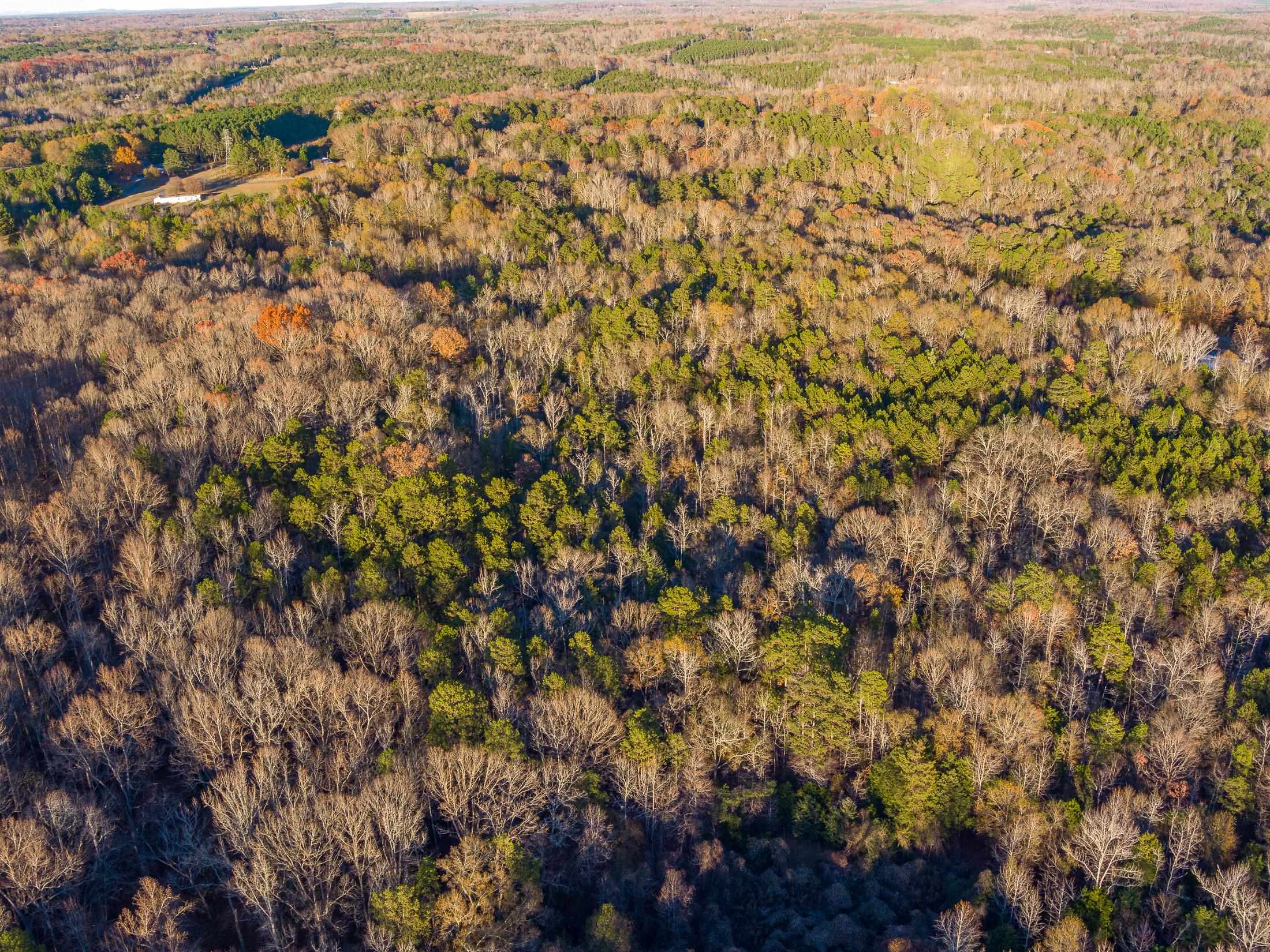 0 Marshall Tucker Road Pauline, SC 29374 - Photo 12 of 26