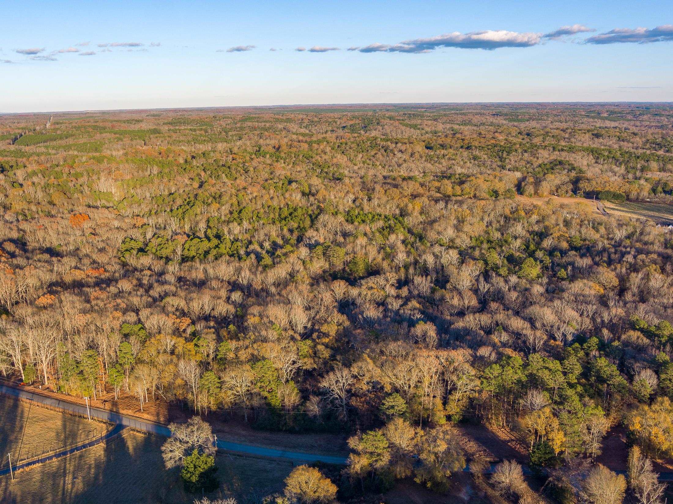 0 Marshall Tucker Road Pauline, SC 29374 - Photo 16 of 26
