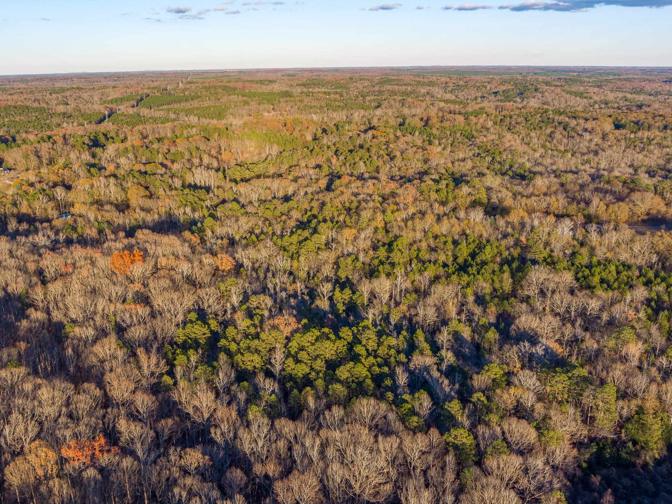 0 Marshall Tucker Road Pauline, SC 29374 - Photo 17 of 26