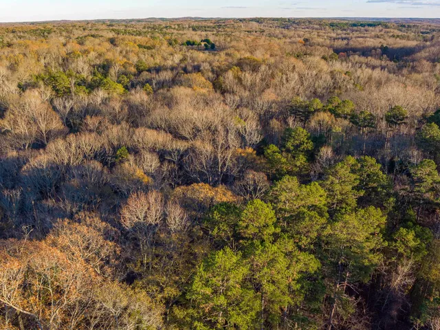 $975,000 | 0 Marshall Tucker Road, Pauline, SC 29374