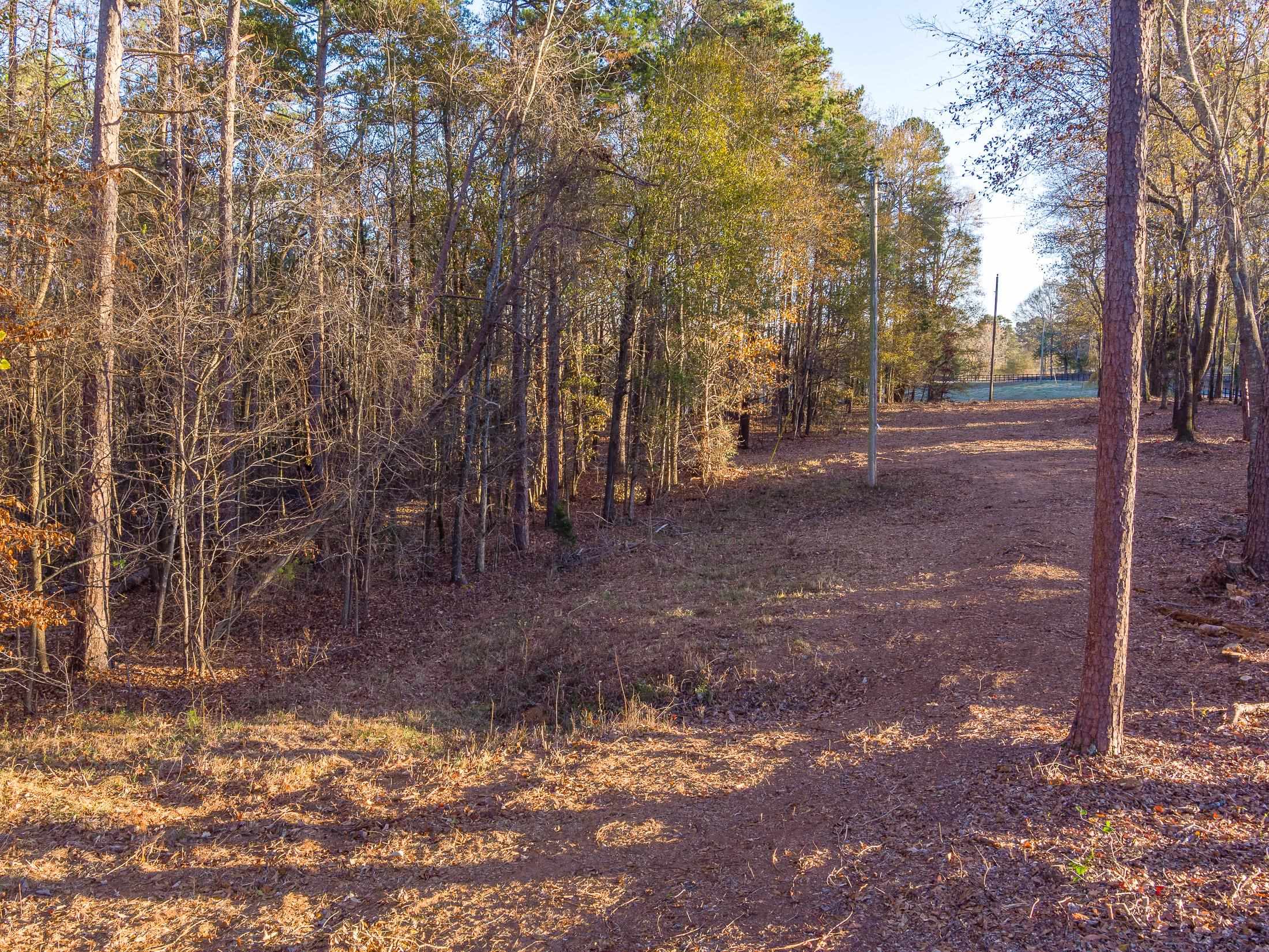 0 Marshall Tucker Road Pauline, SC 29374 - Photo 2 of 26
