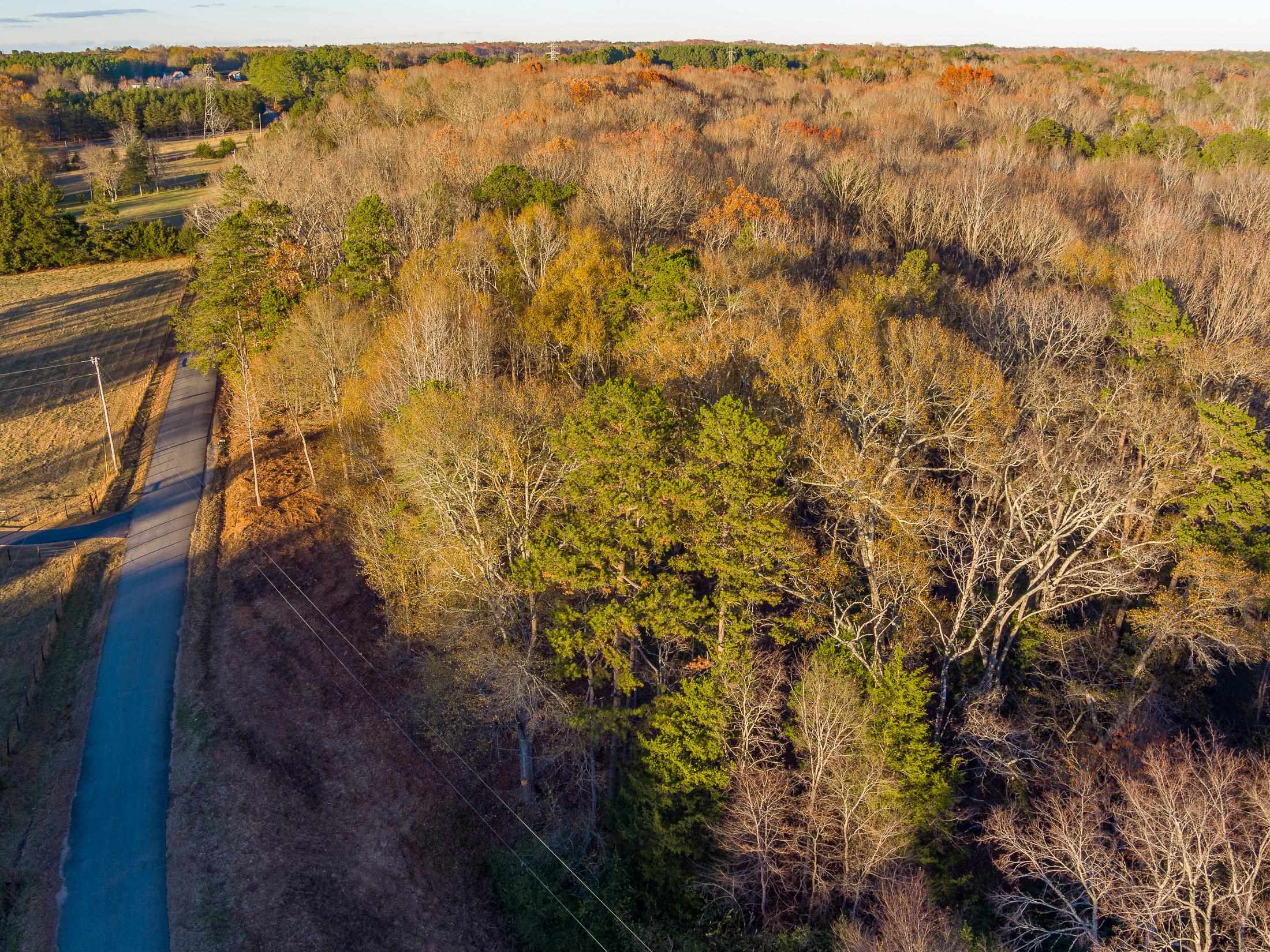 0 Marshall Tucker Road Pauline, SC 29374 - Photo 21 of 26