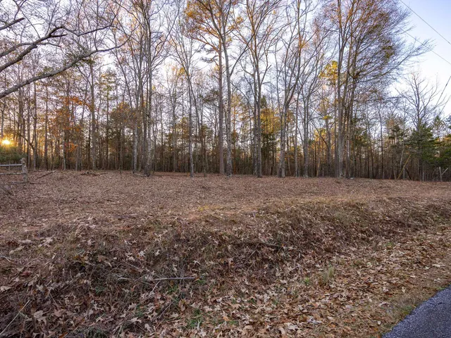 $975,000 | 0 Marshall Tucker Road, Pauline, SC 29374