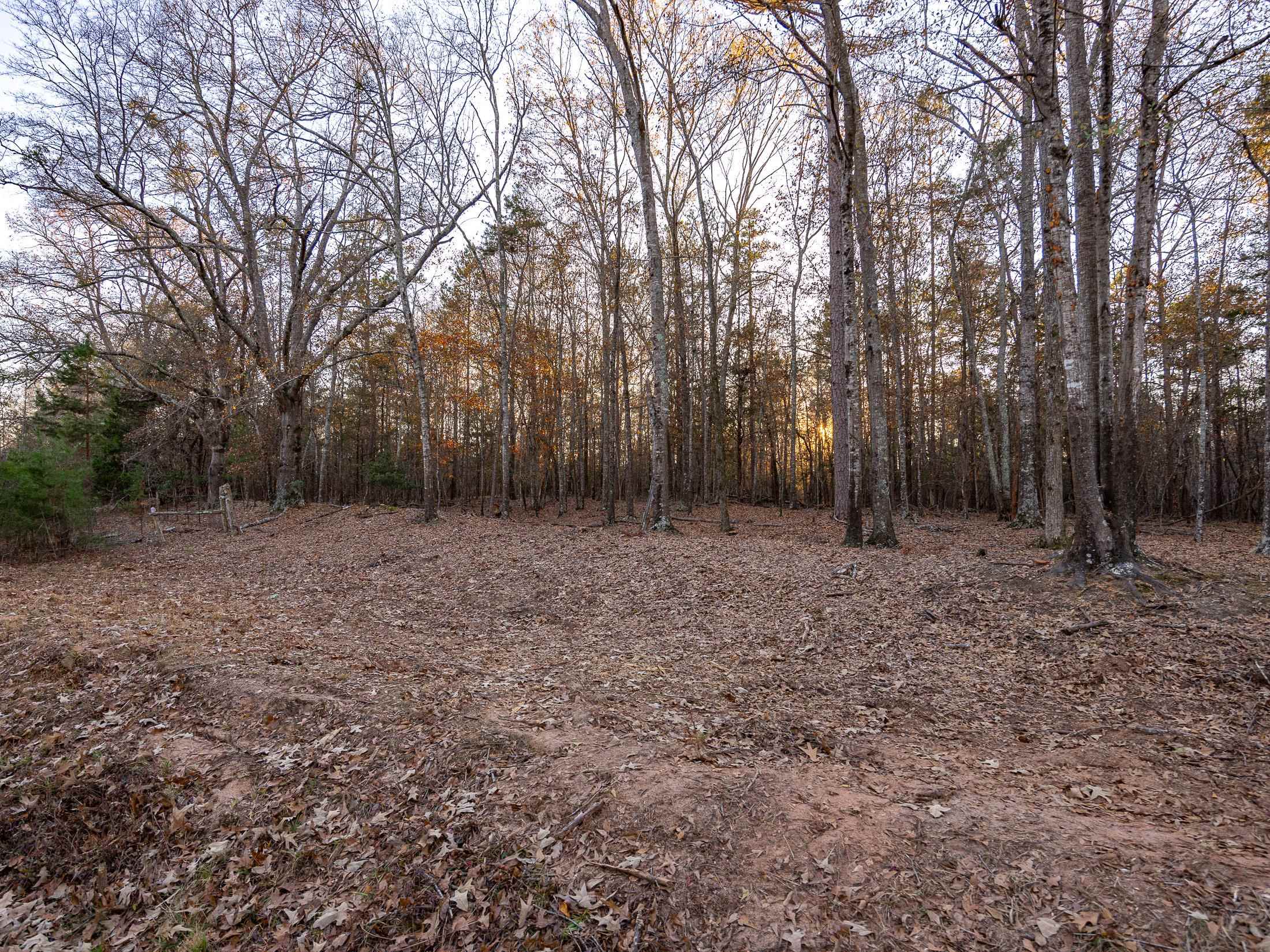 0 Marshall Tucker Road Pauline, SC 29374 - Photo 25 of 26