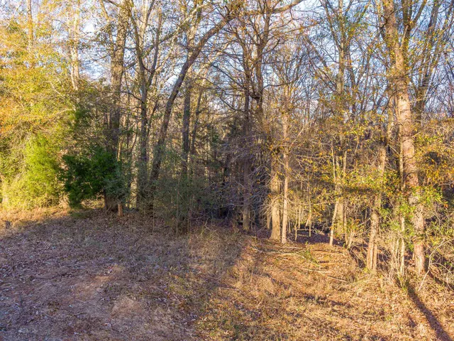 $975,000 | 0 Marshall Tucker Road, Pauline, SC 29374