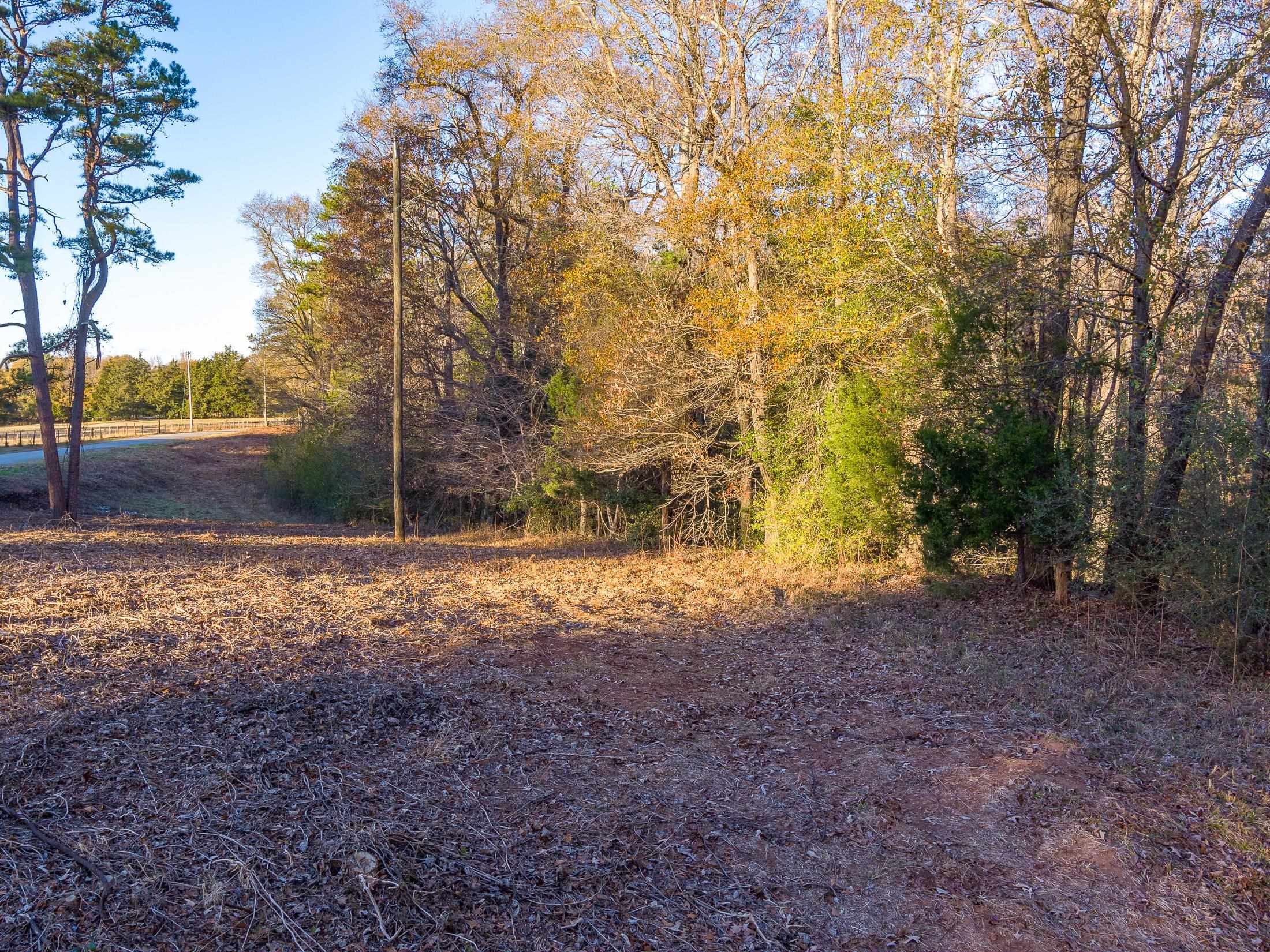 0 Marshall Tucker Road Pauline, SC 29374 - Photo 4 of 26