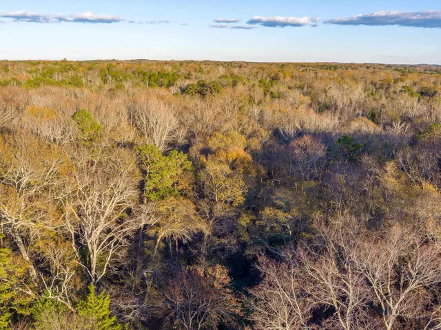 $975,000 | 0 Marshall Tucker Road, Pauline, SC 29374