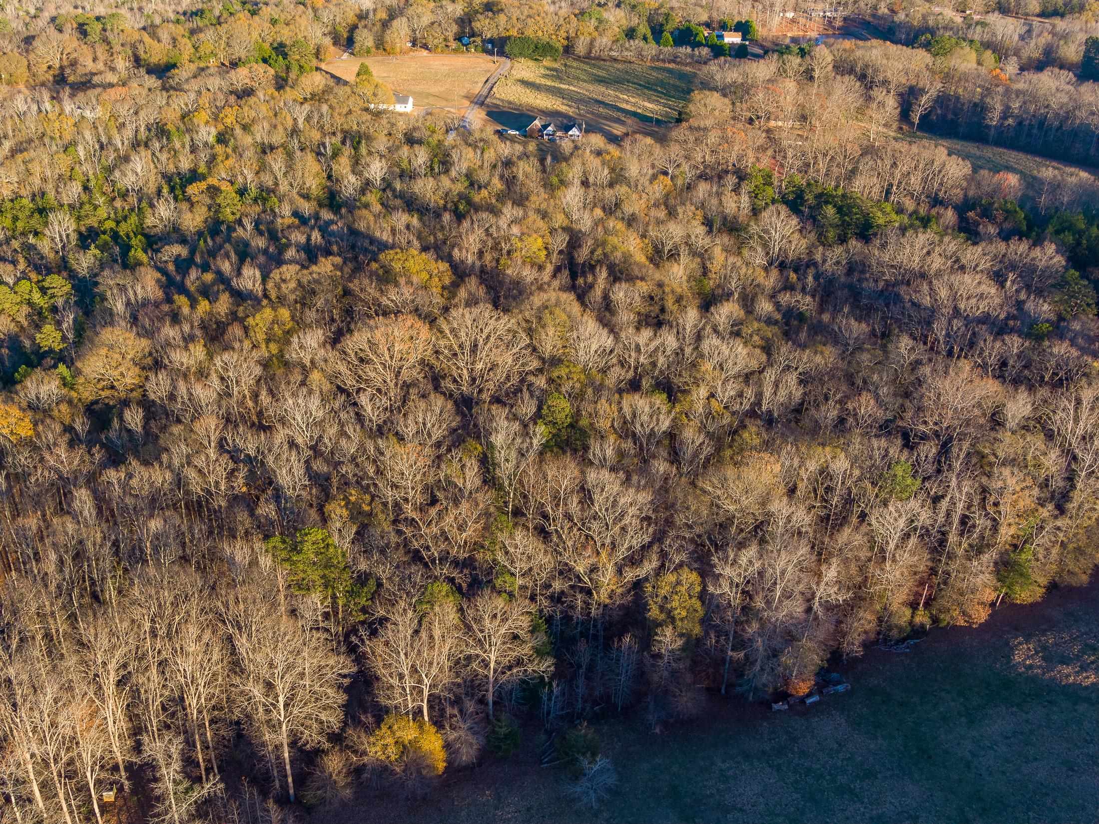 0 Marshall Tucker Road Pauline, SC 29374 - Photo 7 of 26