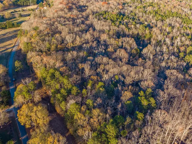 $975,000 | 0 Marshall Tucker Road, Pauline, SC 29374