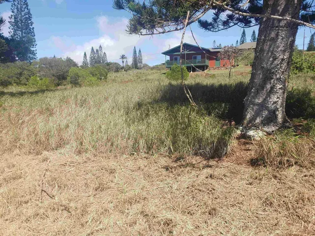a aerial view of a house with a yard