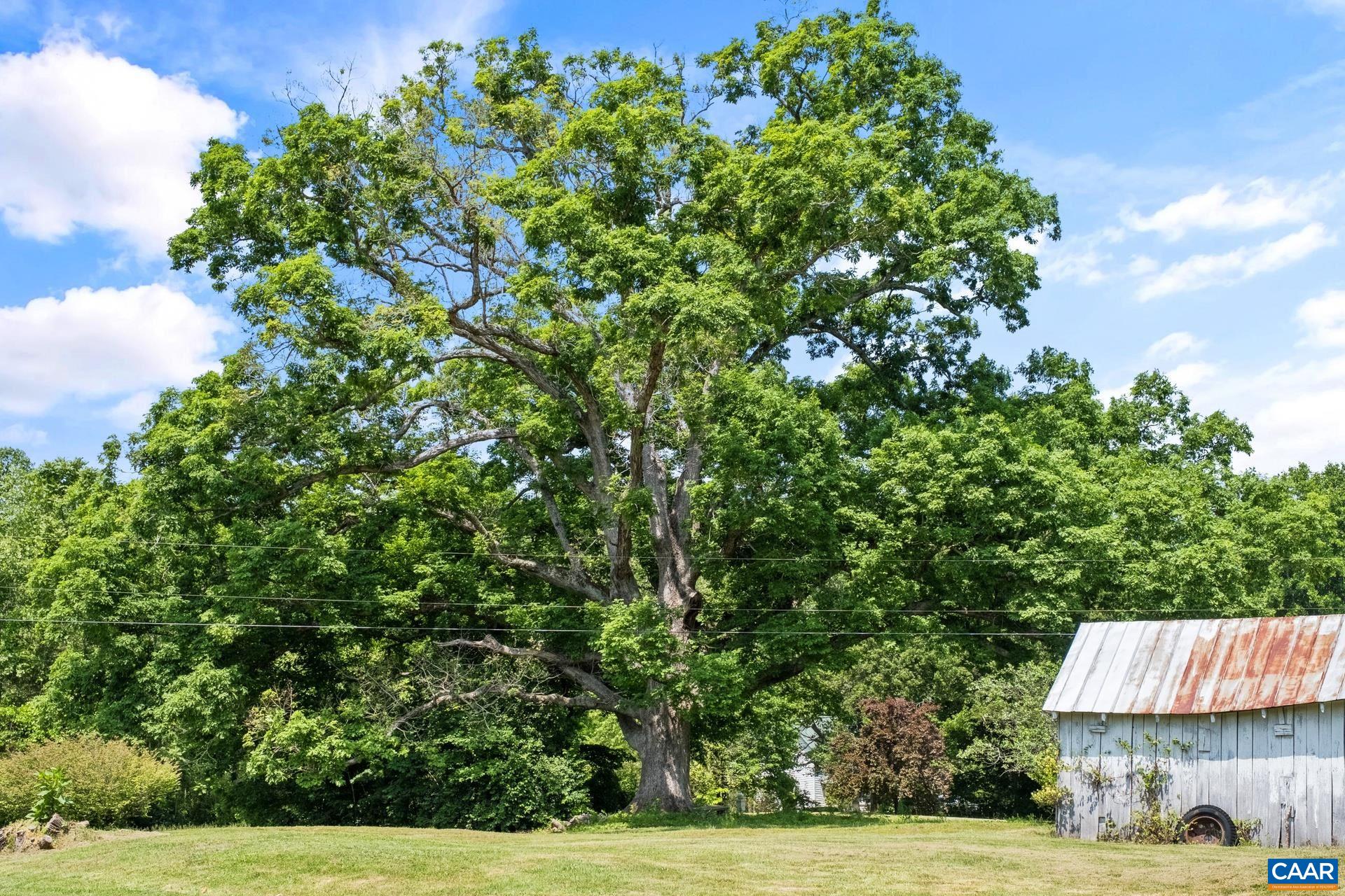 165 Shiloh Loop Faber, VA 22938 - Photo 10 of 33 a view of house and garden
