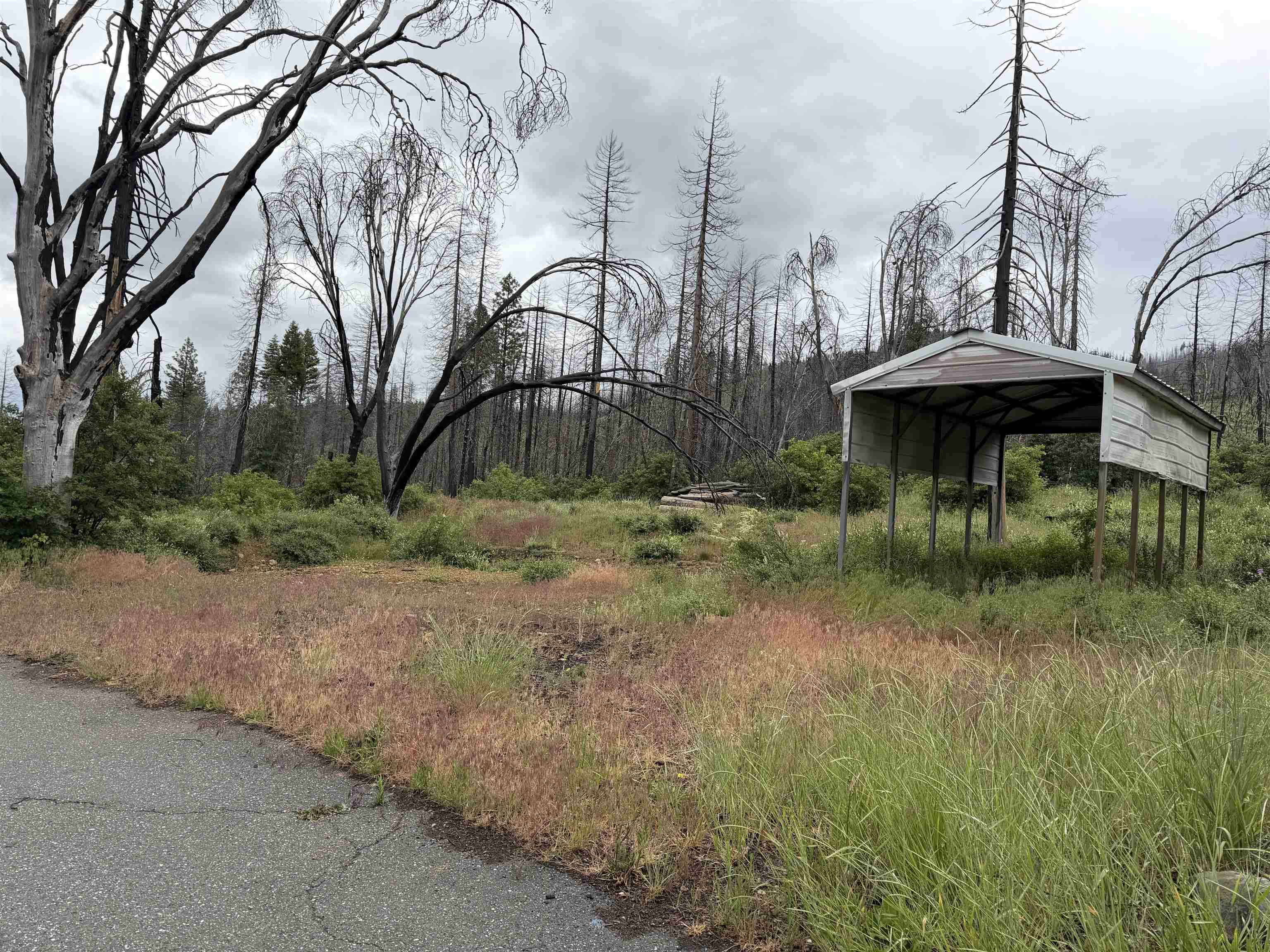 152 Standardt Mine Road Greenville, CA 95947 - Photo 2 of 7
