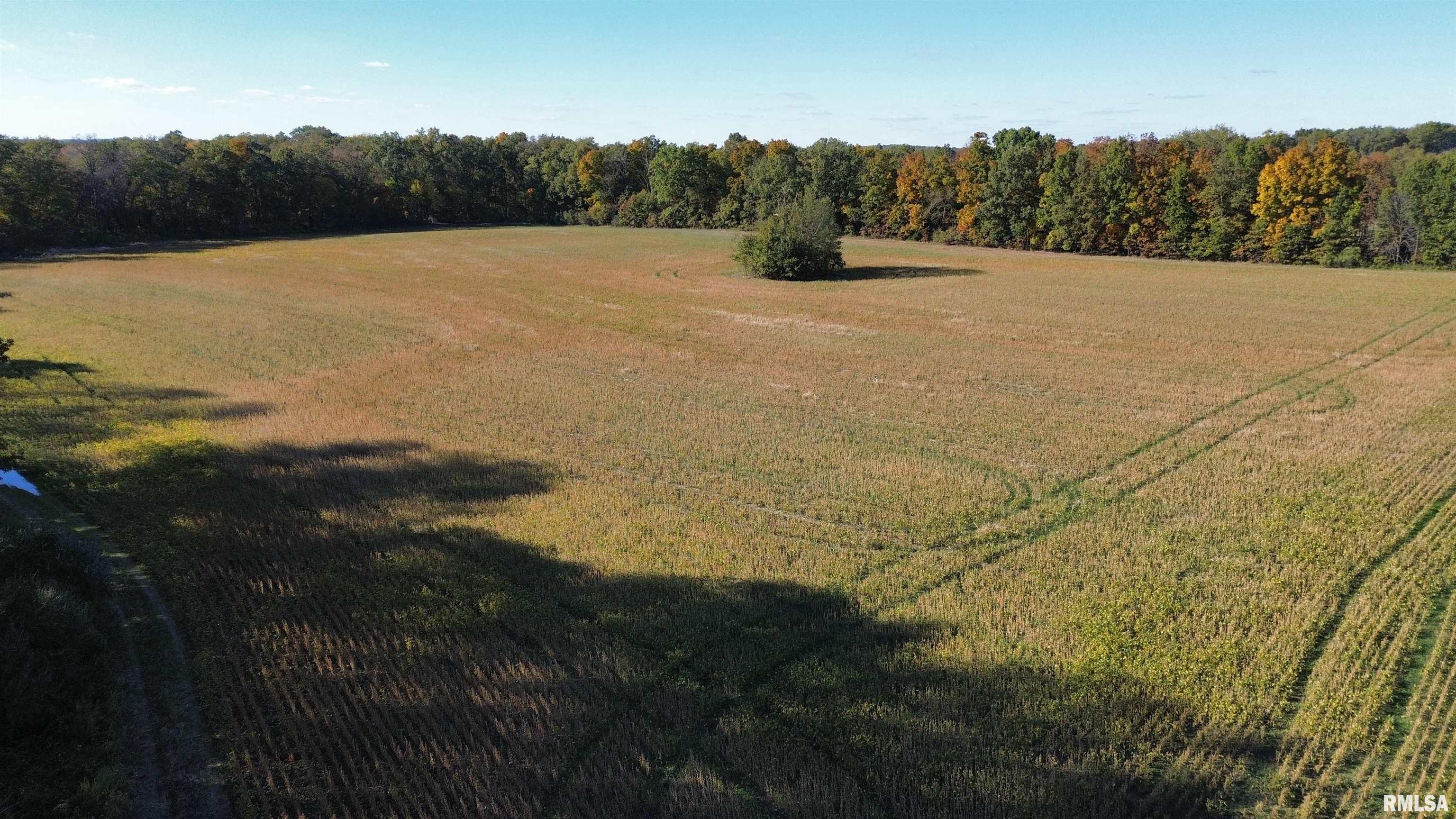 6375 South Forest Church Road Benton, IL 62812 - Photo 4 of 10