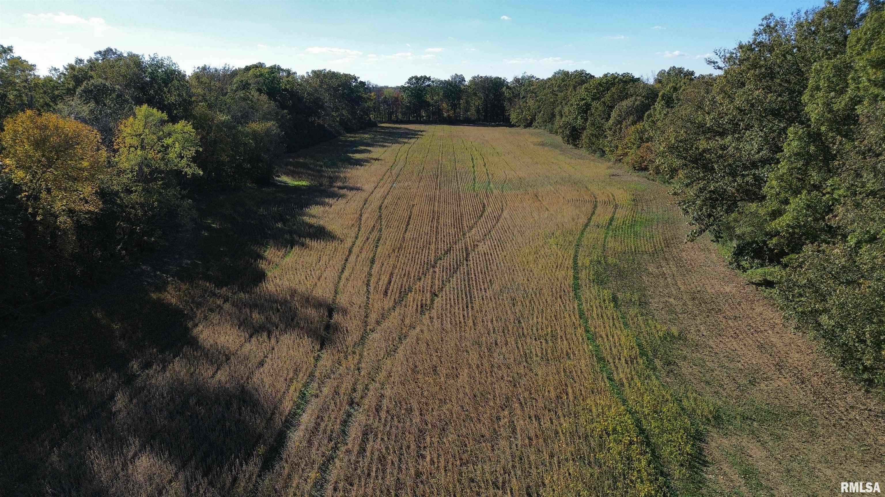 6375 South Forest Church Road Benton, IL 62812 - Photo 5 of 10