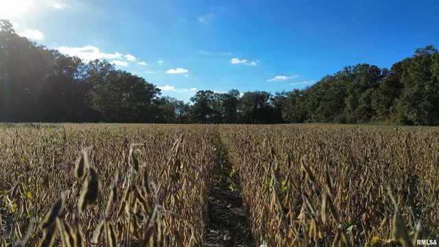 $240,000 | 6375 South Forest Church Road, Benton, IL 62812