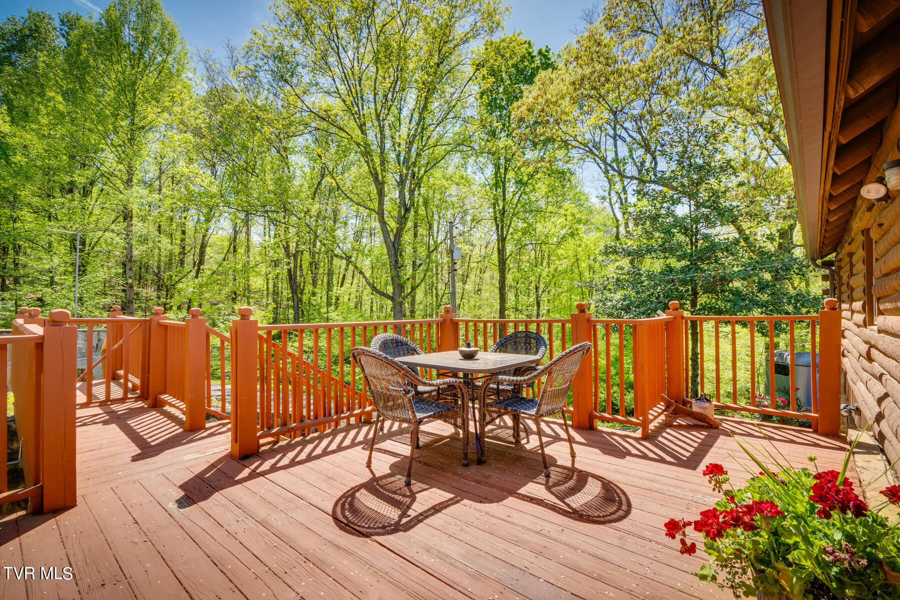 1025 Kitchen Branch Road Greeneville, TN 37743 - Photo 34 of 55 038