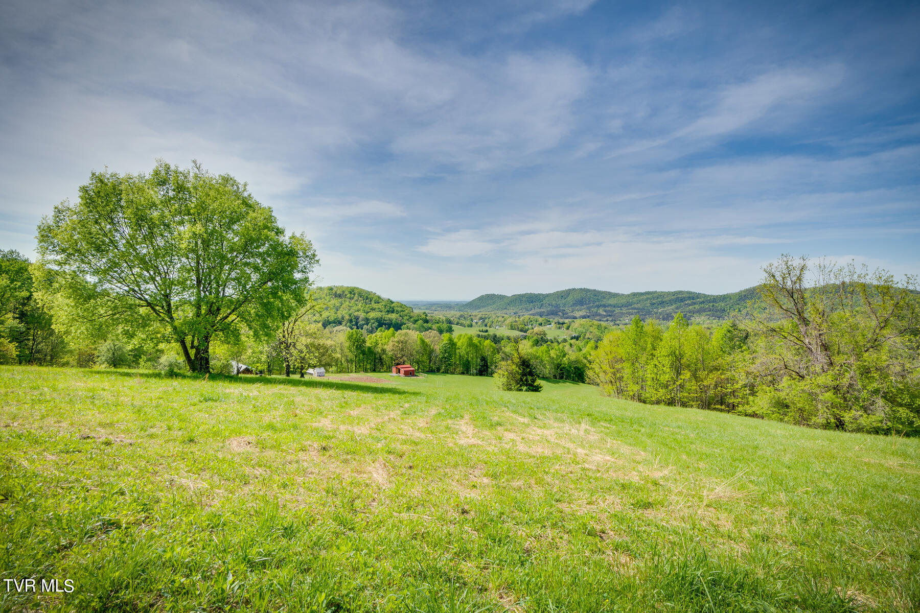 1025 Kitchen Branch Road Greeneville, TN 37743 - Photo 4 of 55 043