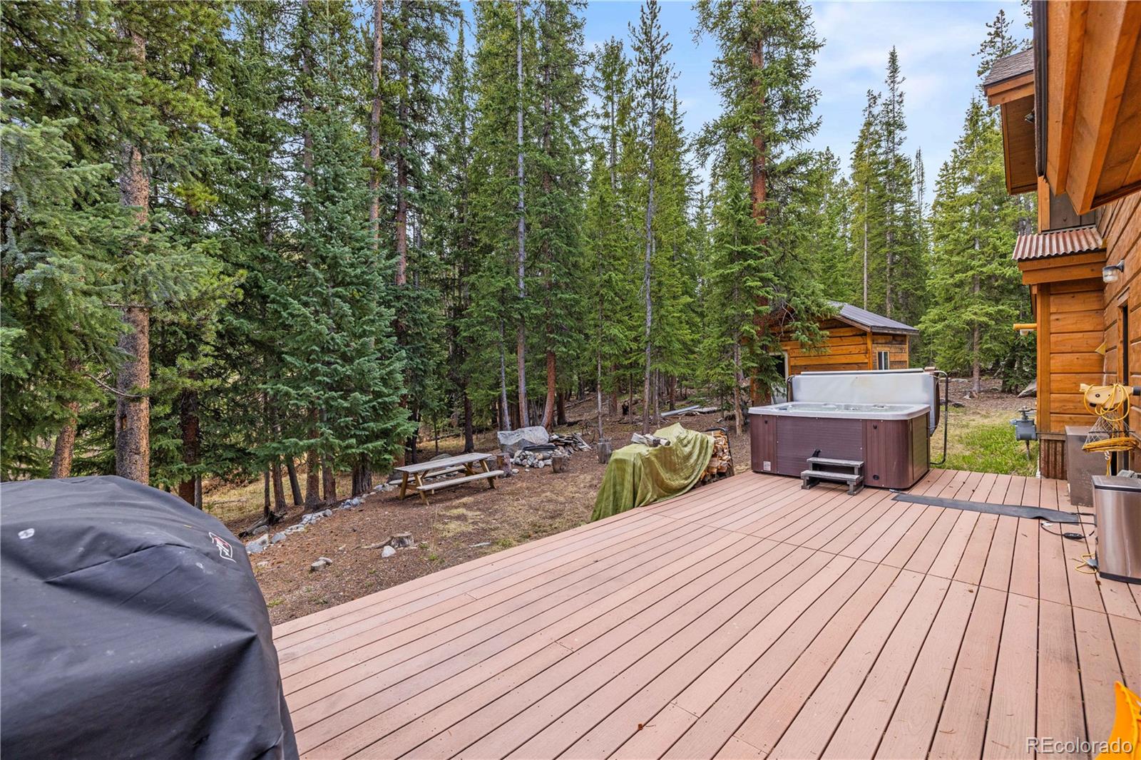 53 Rena Road Breckenridge, CO 80424 - Photo 35 of 39