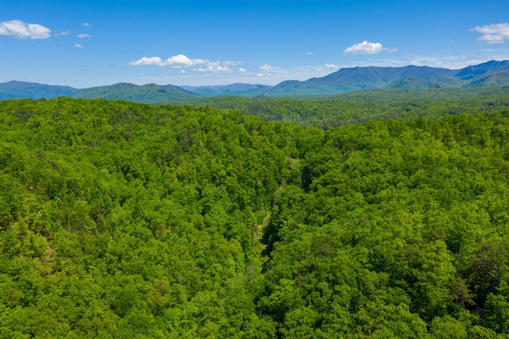 0 Henry Town Road Sevierville, TN 37876 - Photo 18 of 38 Gallery Image 18