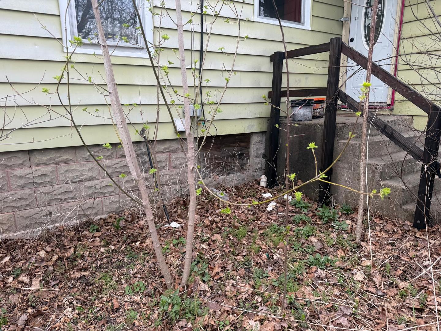 10802 West Yorkhouse Road Beach Park, IL 60087 - Photo 13 of 66 a view of a backyard of the house